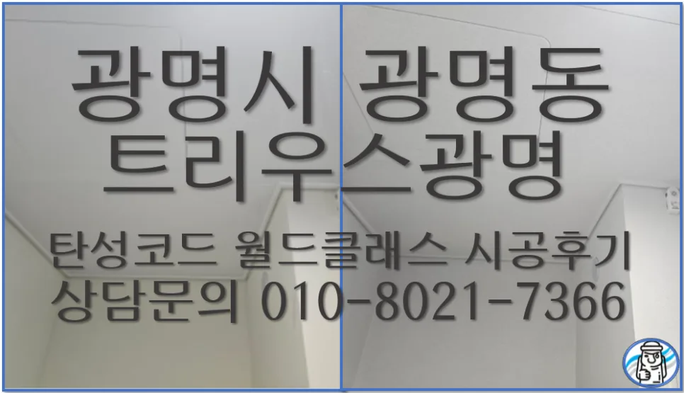 트리우스광명 탄성코트 시공 2026: 월드클래스 성능 및 장점 분석
