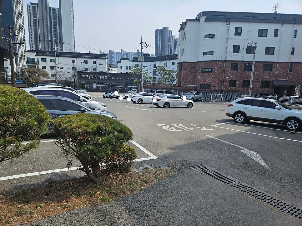 일산 생선구이 맛집 2026: 그리운 삼천포 방문 후기 2