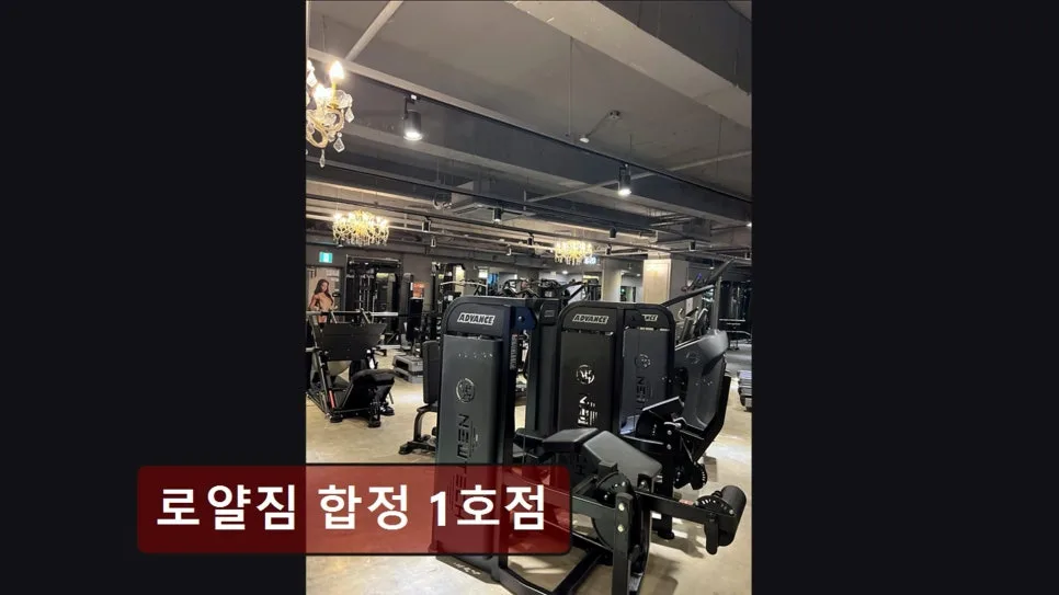 홍대 헬스장 로얄짐 합정 2026년 시설·코칭 완벽 분석 — 스포츠 — yacle70