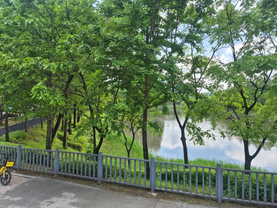 용인 동백 호수공원 주말 산책 코스 추천 2026 3