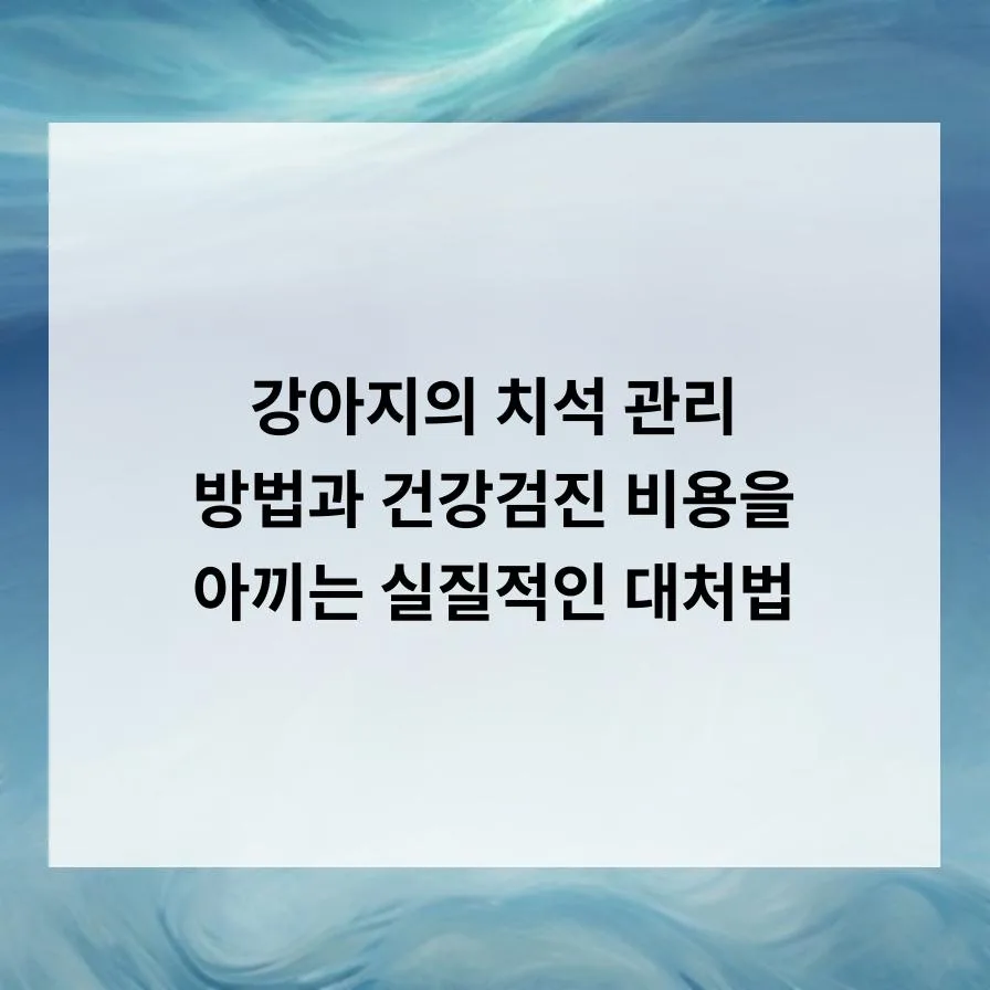 강아지 치석 관리법 2026: 병원비 아끼는 예방 노하우 — 반려동물 — ktog2xcp6cv
