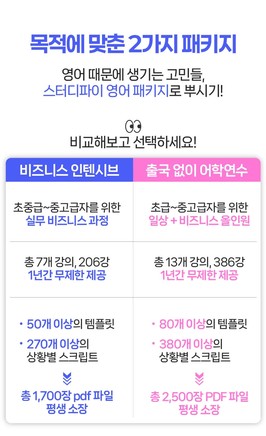 베를린 직장인 비즈니스 영어 공부법 2026: 스터디파이 활용법 2