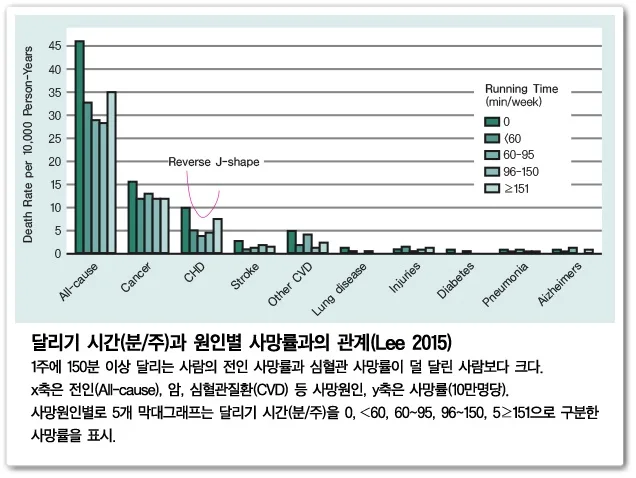 매일 달리기 효과 2026: 심폐 기능 강화부터 정신 건강까지 2