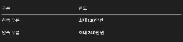 만 60세 이상 무릎 수술비 지원 2026: 자격 조건 및 신청 방법 총정리 2