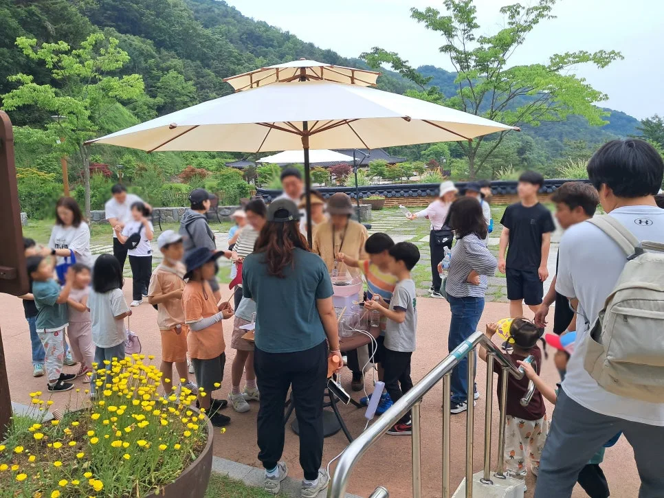 Korean Family Forest Program 2026: Jincheon's Healing Experience 3