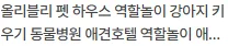 올리블리 펫 하우스 역할놀이 2026: 강아지 키우기 체험 완벽 가이드 2