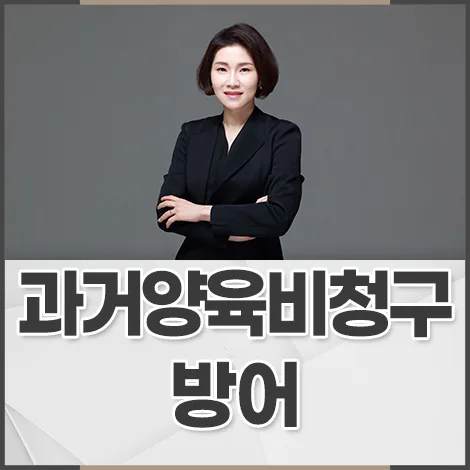 분리양육 시 과거 양육비 청구 방어법 2026