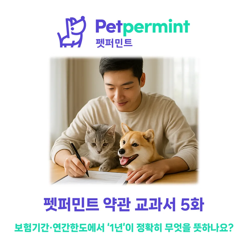 펫 보험 1년 보장 만기일, '해당일 전일 24시'의 정확한 의미 2026