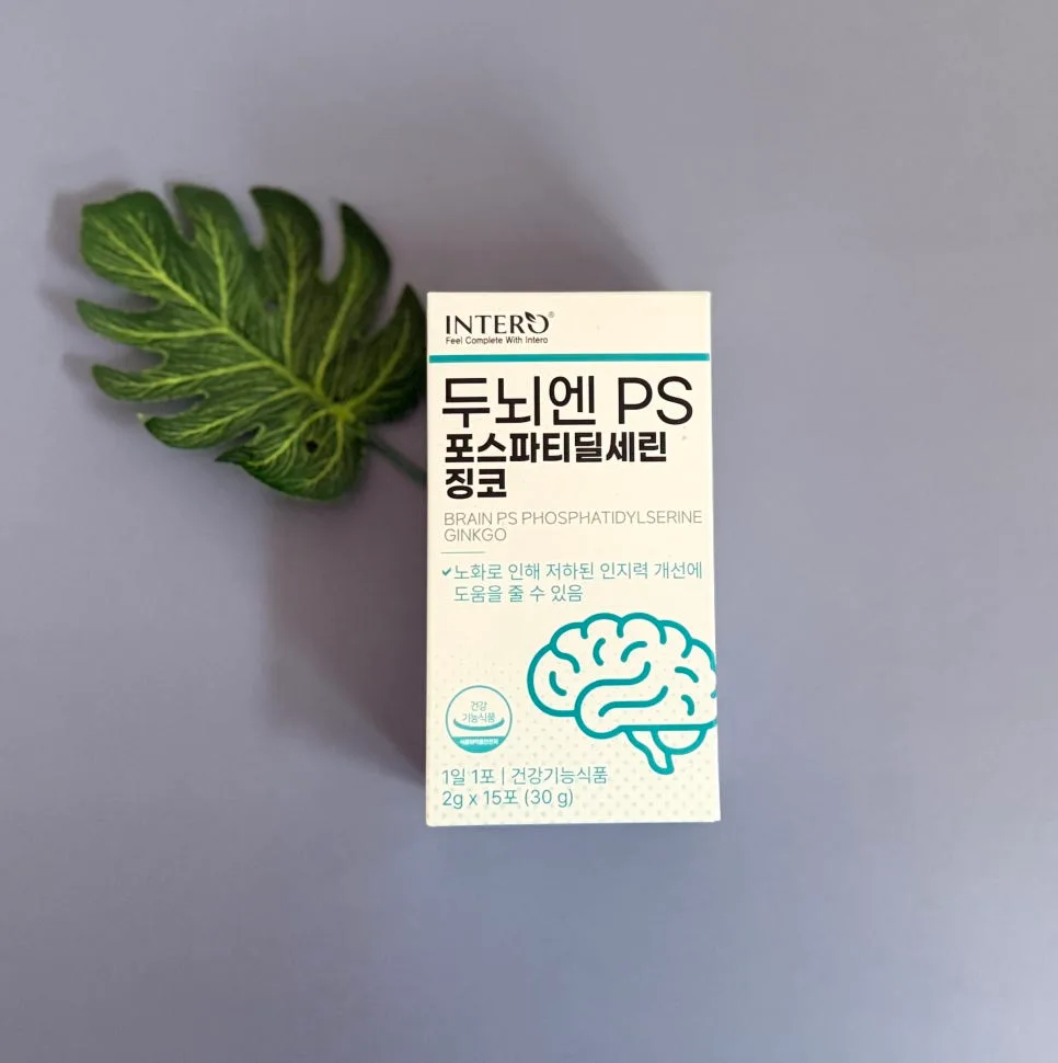 기억력 개선 영양제 2026: 포스파티딜세린 vs 징코 비교 분석 3