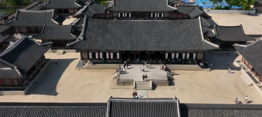 조광조 개혁 실패 원인: 기묘사화 비극 2026년 재조명 2
