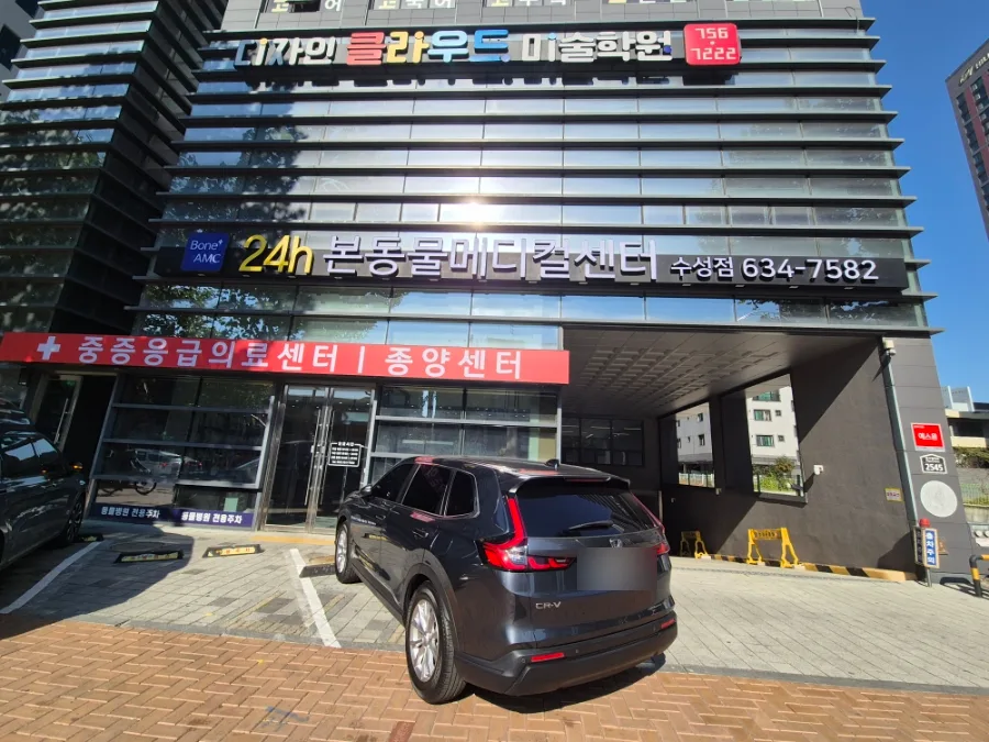 강아지 심장 검진 2026: 대구 본동물메디컬센터 과잉진료 없는 후기 — 반려동물 — ky2charitas