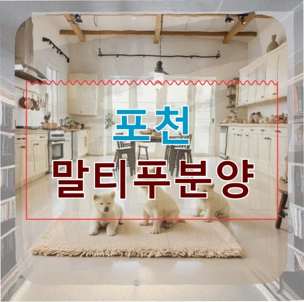 포천 말티푸 분양 2026: 첫 반려견 입양 준비 완벽 가이드