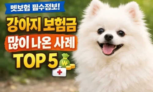 2026년 펫보험 가입 전 필수 확인 사항 5가지 2