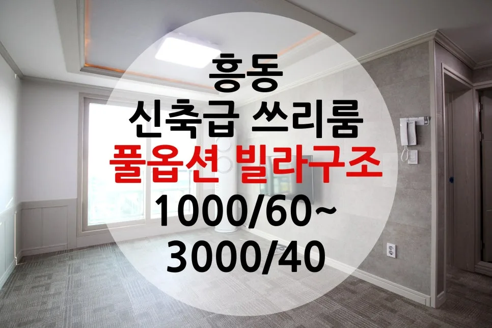 김해 흥동 쓰리룸 월세 2026년 시세 및 장단점 분석