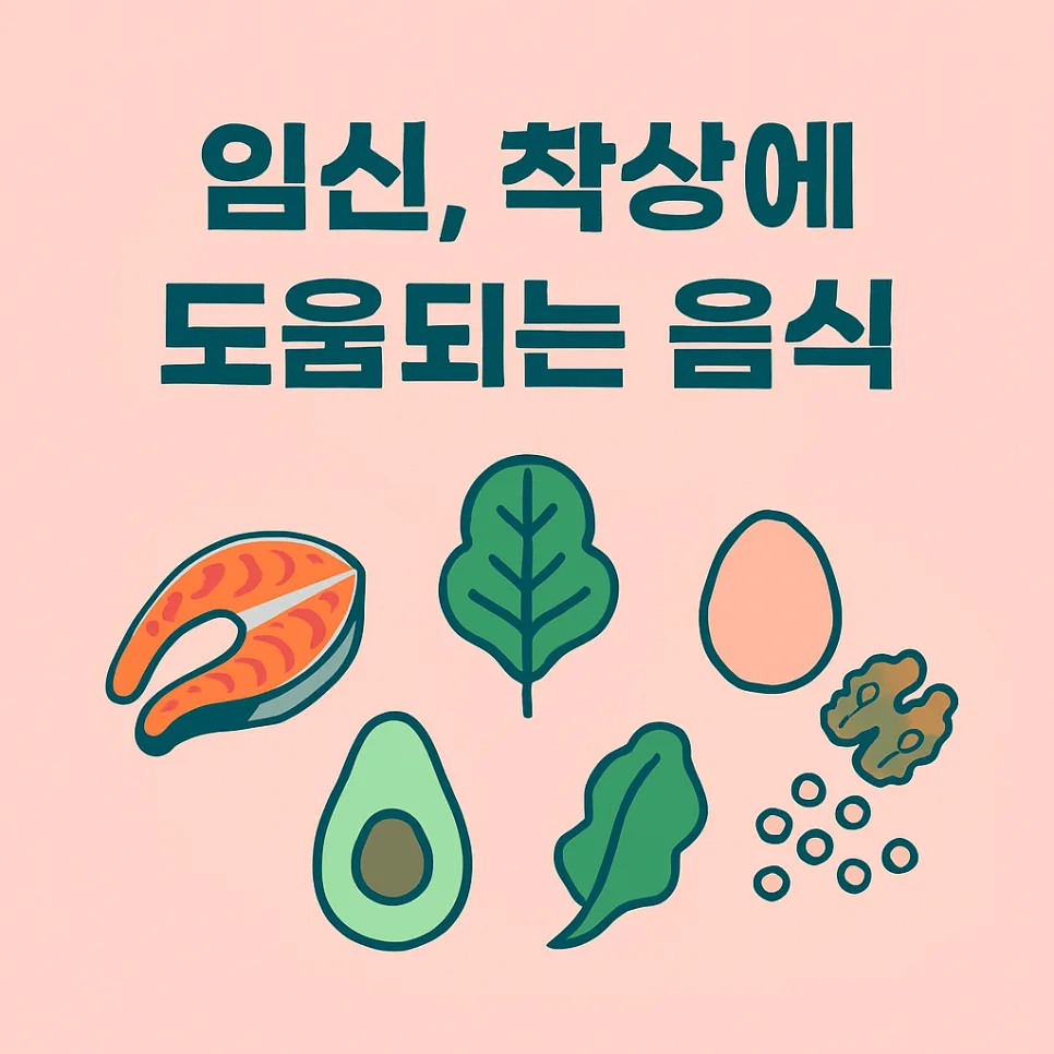 임신 착상 성공률 높이는 영양소 2026: 실제 경험자 조언
