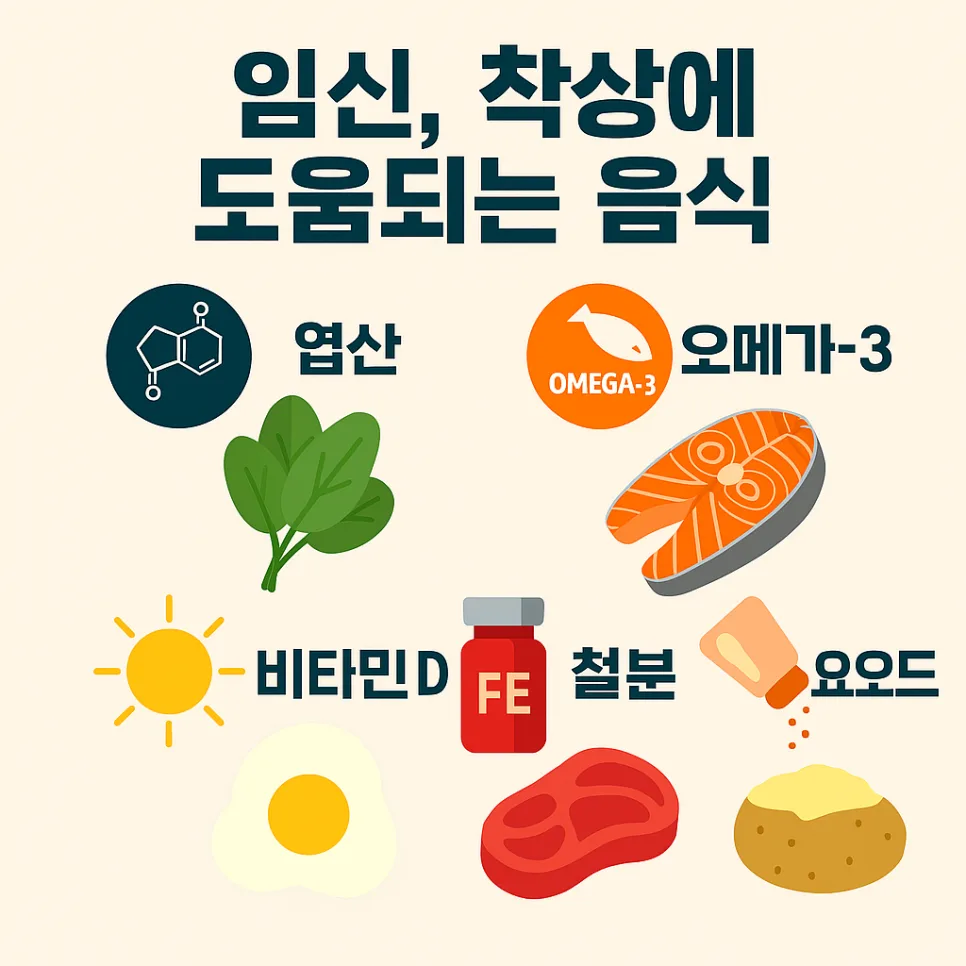 임신 착상 성공률 높이는 영양소 2026: 실제 경험자 조언 3