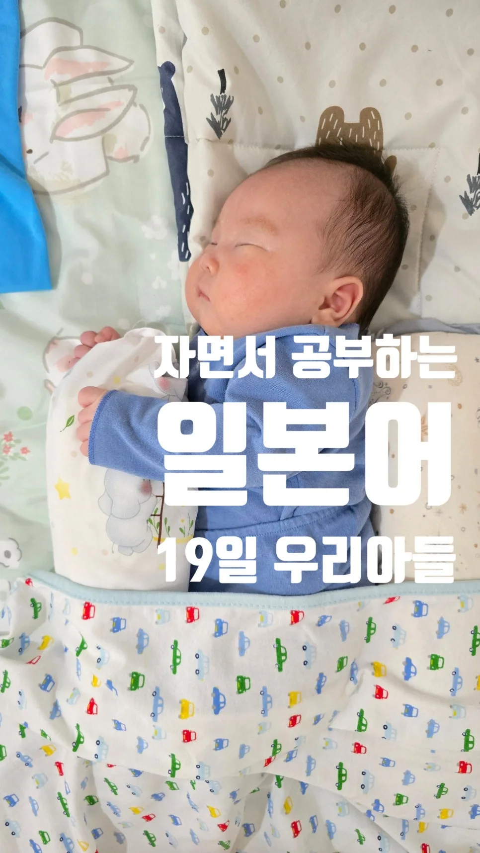 일본어 단어 19일차: 2026년 실전 회화 마스터 비법 — 어학·외국어 — ksw8832