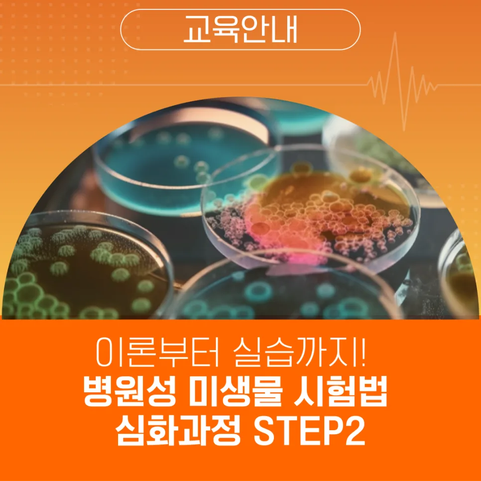 병원성 미생물 시험법 완벽 마스터 2026: 실습 포함 핵심 가이드
