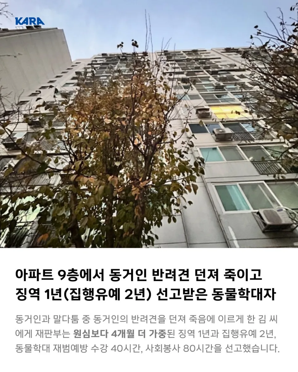 반려견 고층 추락 학대 2026: 노원 사건 항소심 판결 분석 2