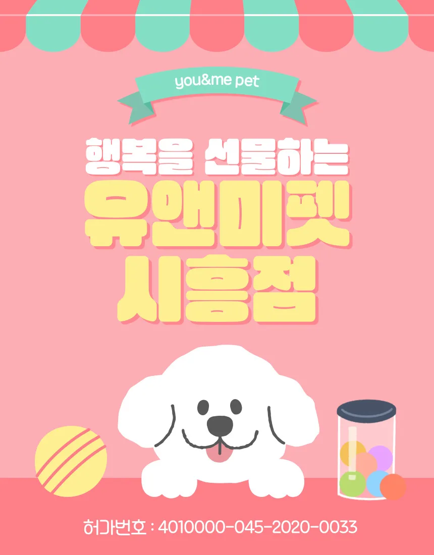 수원 말티즈 분양 2026: 유앤미펫에서 건강한 반려견 만나는 법