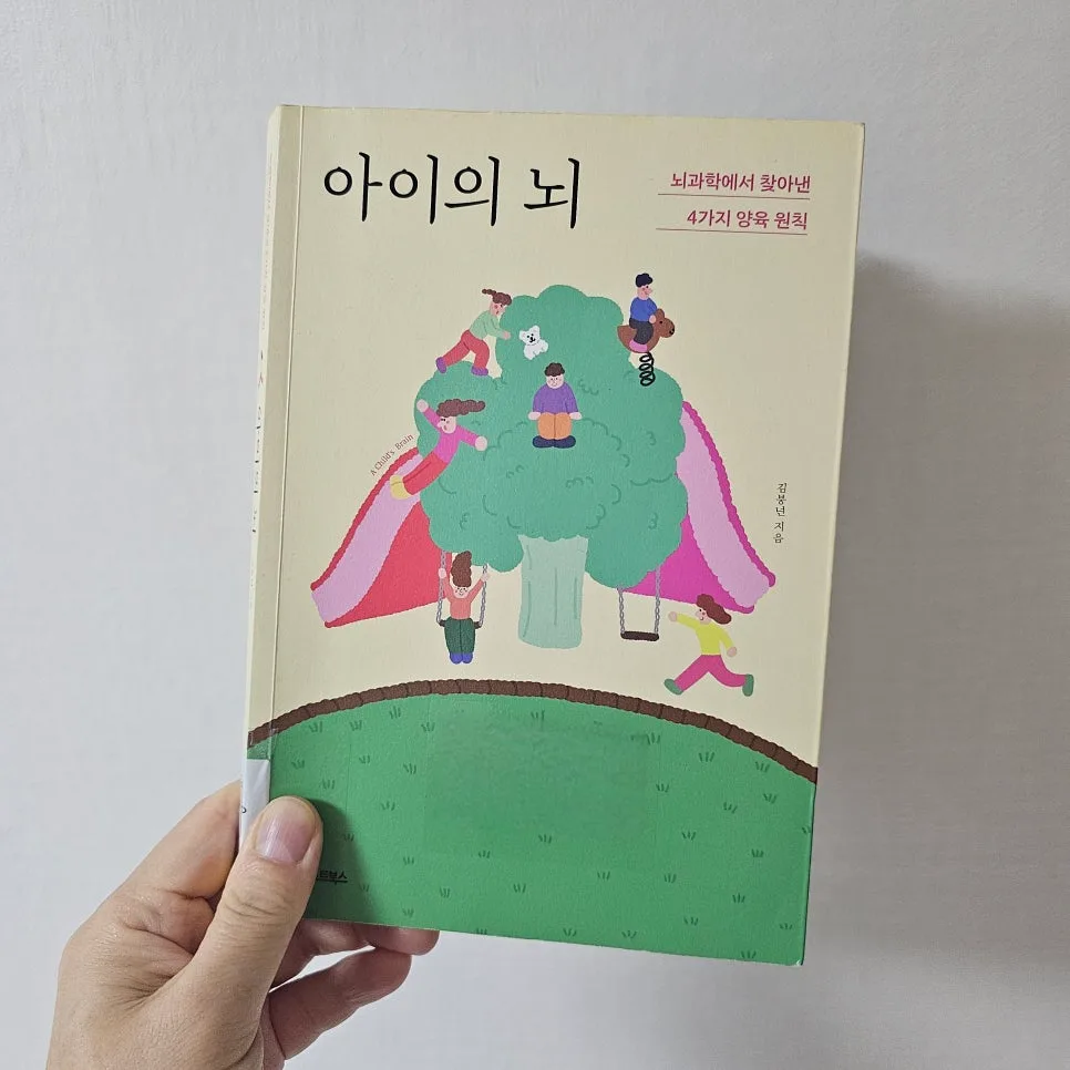 아이 뇌 발달 4가지 원칙: 김붕년 교수 육아법 2026 2