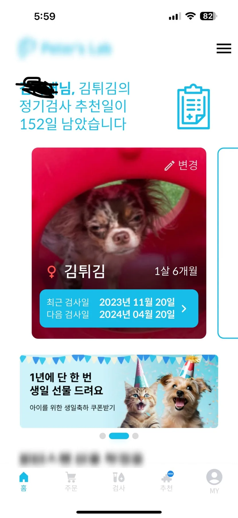 강아지 기관지 영양제, 2026년 최신 성분 분석 및 급여 가이드 2