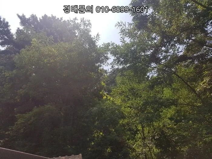 인천 강화 임야 경매, 2026년 최저가 1700만원대 투자 기회 분석