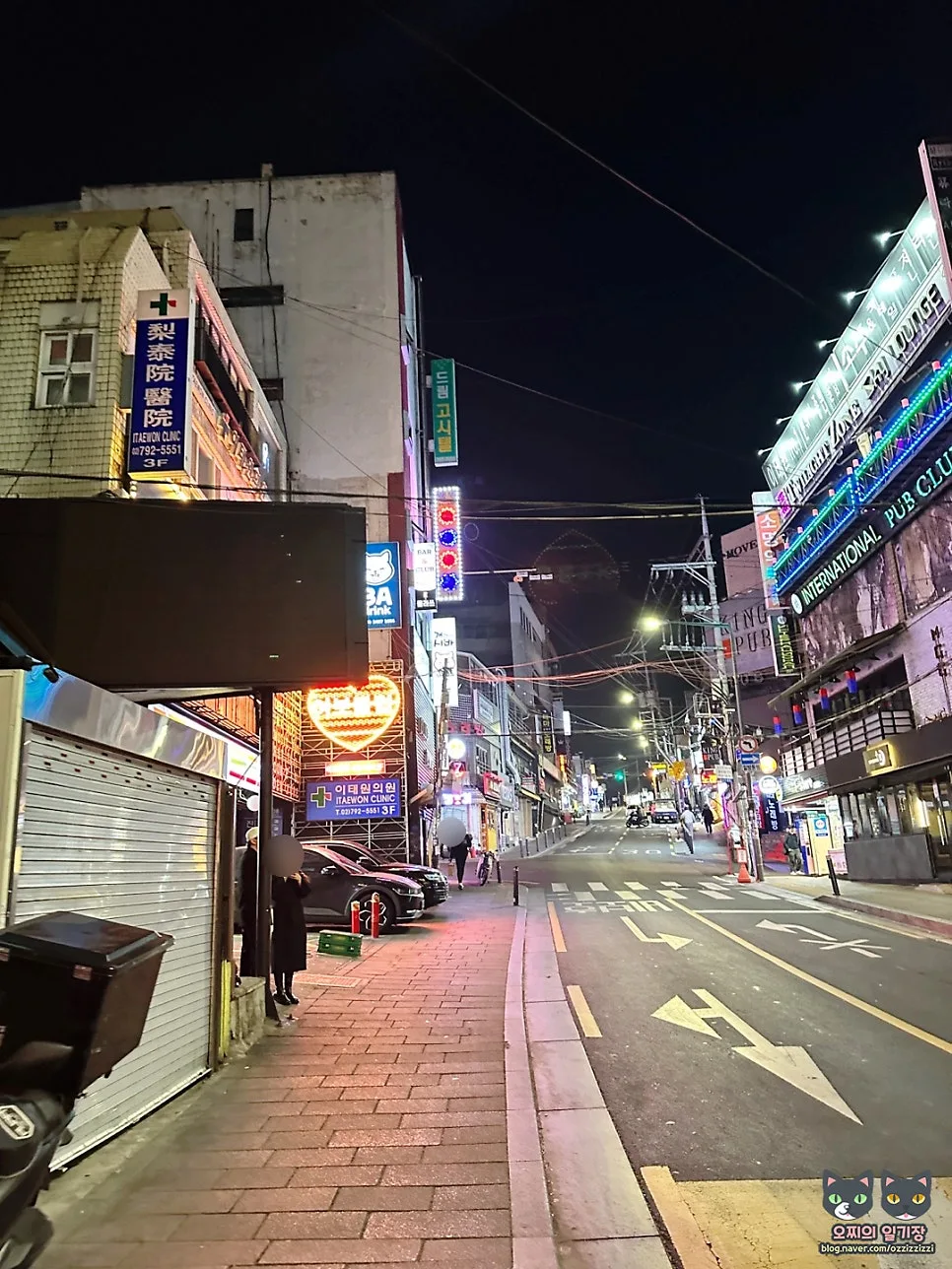 이태원 애견동반 술집 '개편한시바' 방문 후기 (2026년 최신 정보) 2