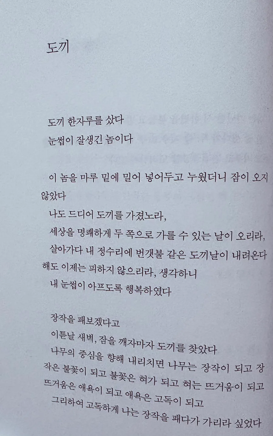 안도현 시 '도끼' 해석: 세상 가르는 날 2026년까지 기다릴 수 있을까 3
