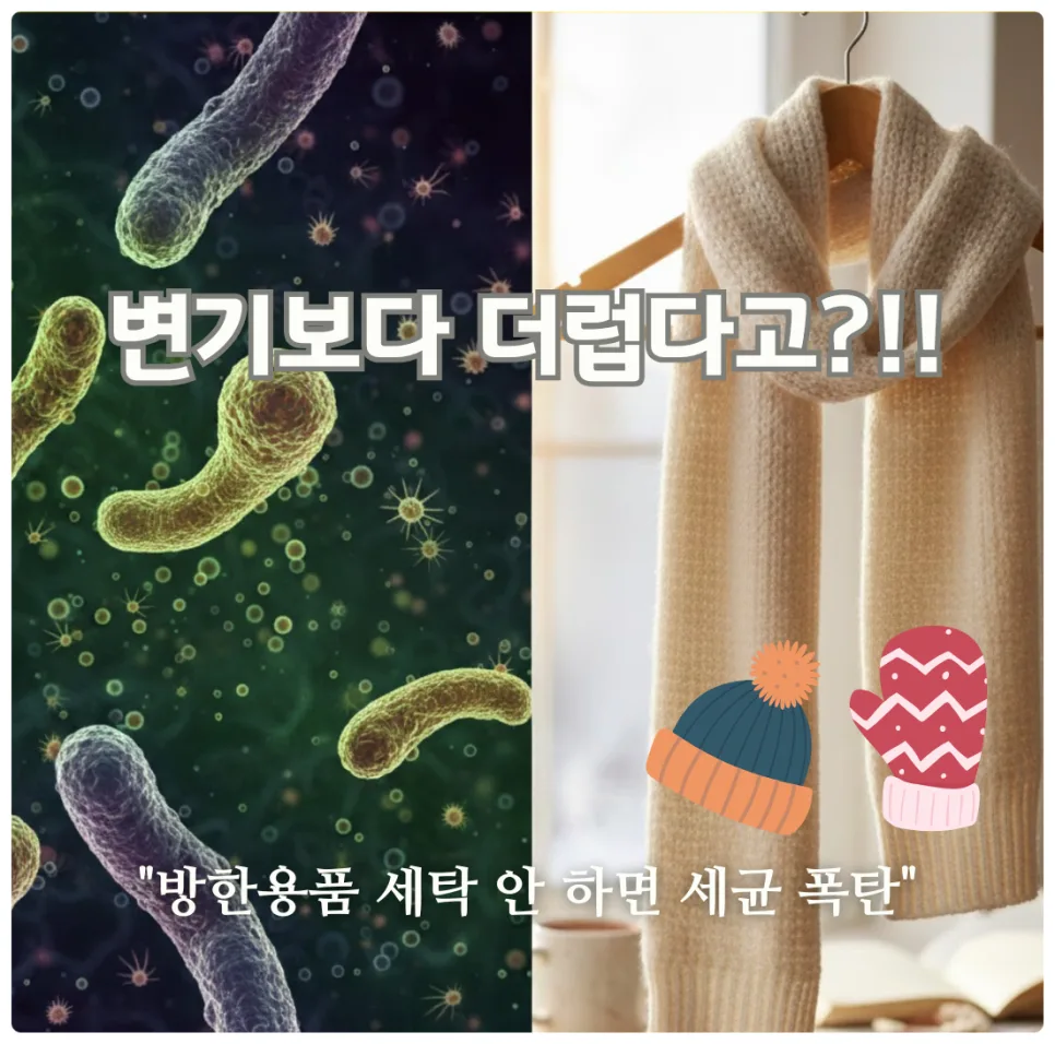 겨울 방한용품 위생 관리 2026: 변기보다 더러운 충격 진실과 세탁법 — K-뷰티·패션 — honeyissue