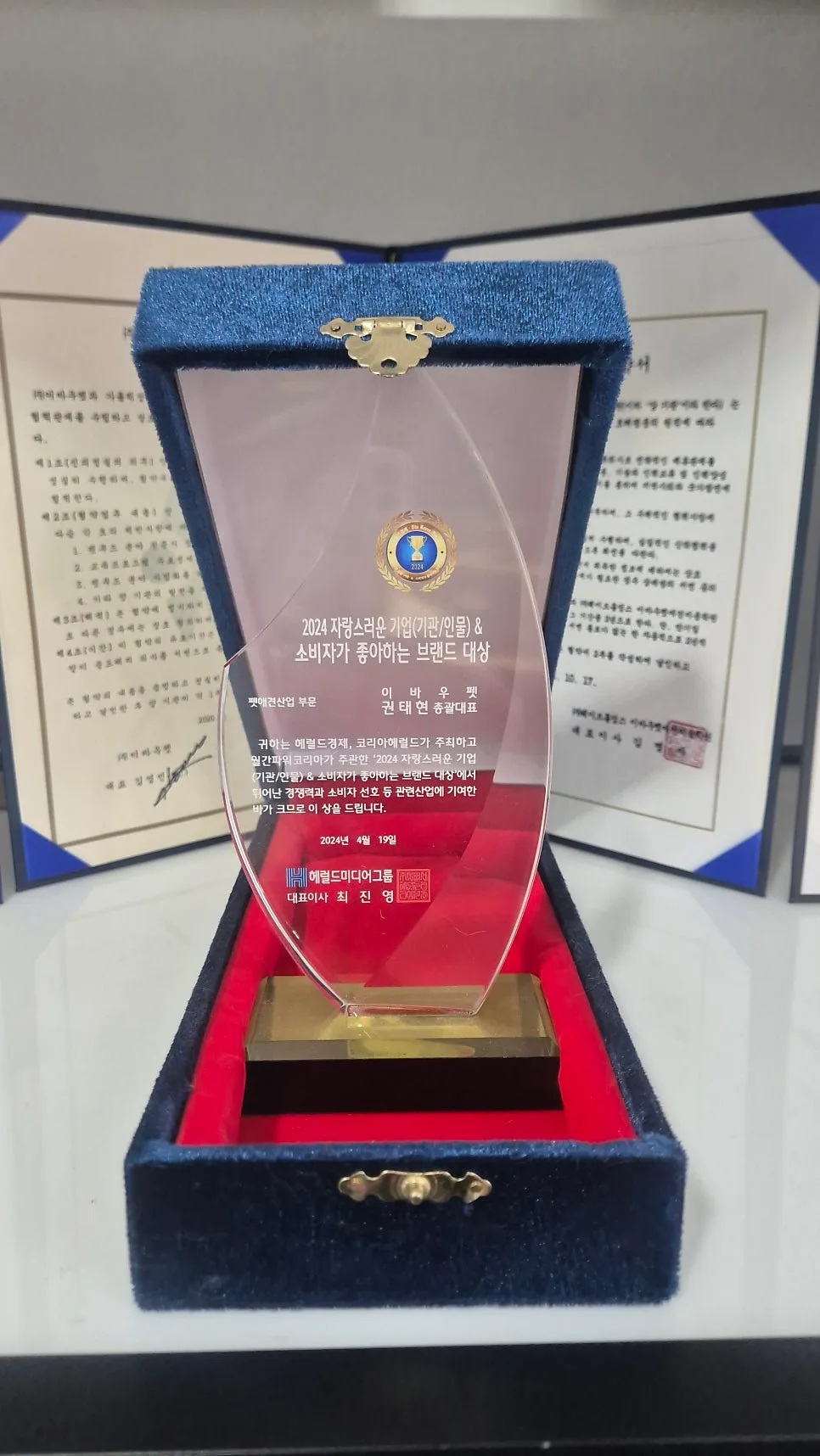 애견미용 자격증 비용, 2026년 현실적인 투자 가이드 2