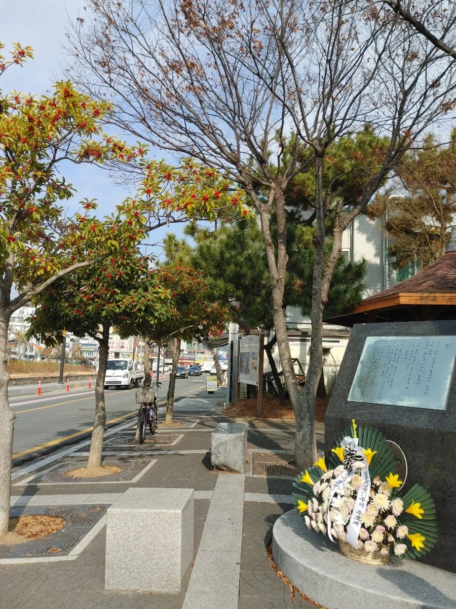 통영 12월 여행: 국화빵, 땅콩빵, 충무칼국수 맛집 2026 — K-푸드·맛집 — ojk84