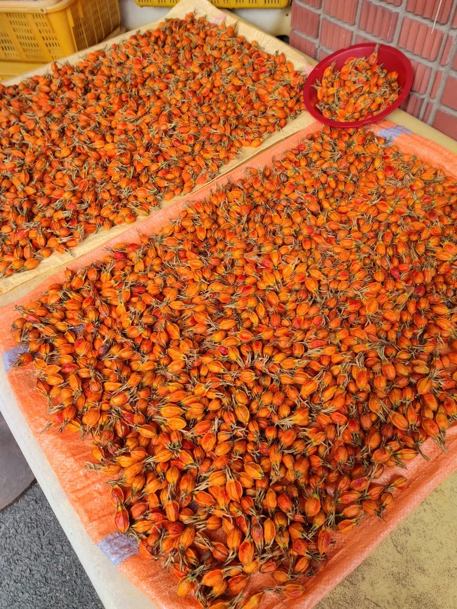 통영 12월 여행: 국화빵, 땅콩빵, 충무칼국수 맛집 2026 3