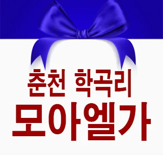 춘천 모아엘가 비스타: 10년 민간임대 장단점 — 일상·에세이 — 정보를 알려주는 리뷰포터입니다. 1