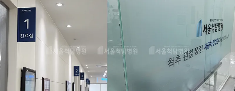 허리디스크 파열, 보존치료 vs 내시경 수술 2026년 선택 가이드 2