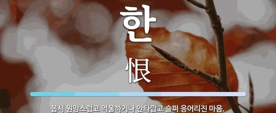 2026년, 한국어엔 있는데 영어엔 없는 표현들 완벽 정리 2