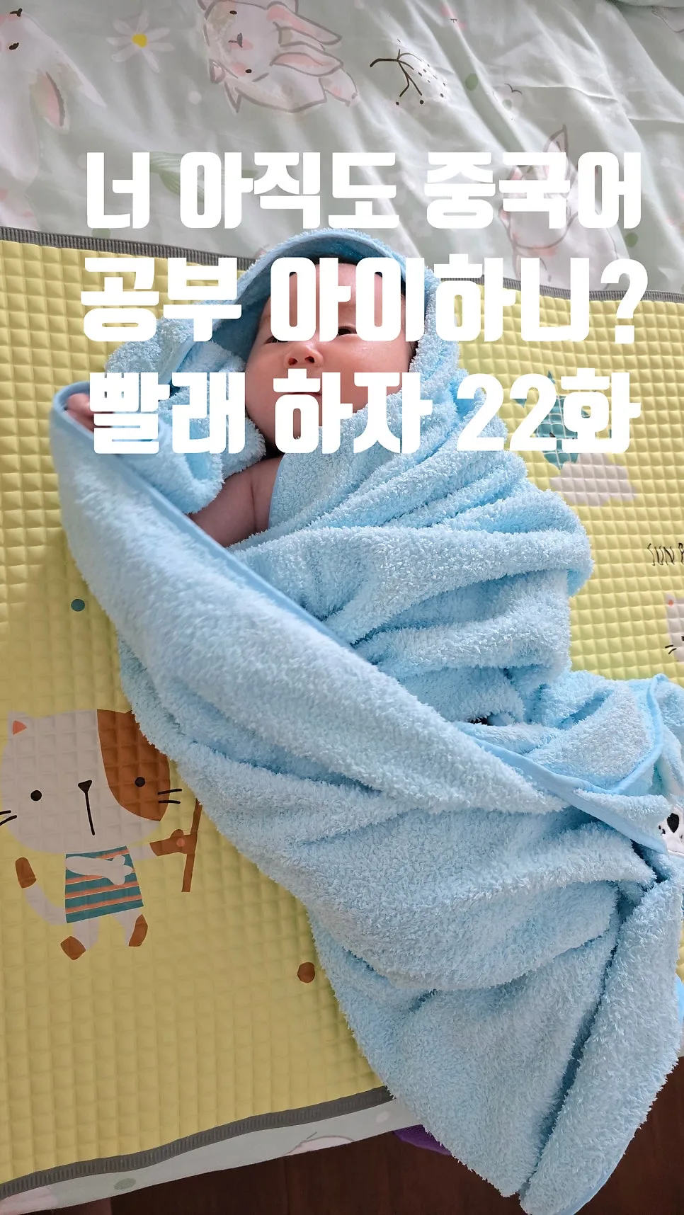 매일 5단어 중국어 습관 2026: 멍샹, 허, 카이처 등 핵심 동사 익히기 — 어학·외국어 — ksw8832