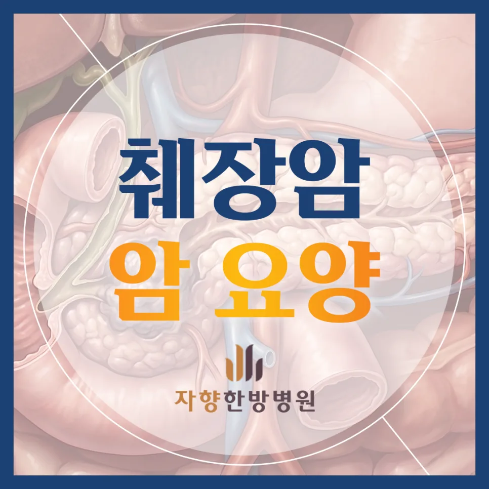 췌장암 수술 후 회복, 한방병원 요양으로 삶의 질 높이는 법 2026 — 건강·의학 — junjan2023