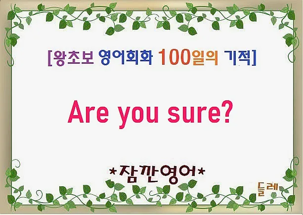 Are you sure? 정말이야? 영어 표현 2026년 총정리