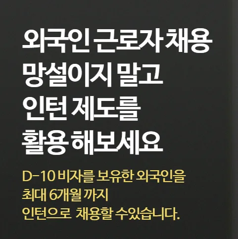 외국인 인턴 채용 A to Z: 비자, 직종, 장점 완벽 분석 2026 — 사회·시사 — talent_link