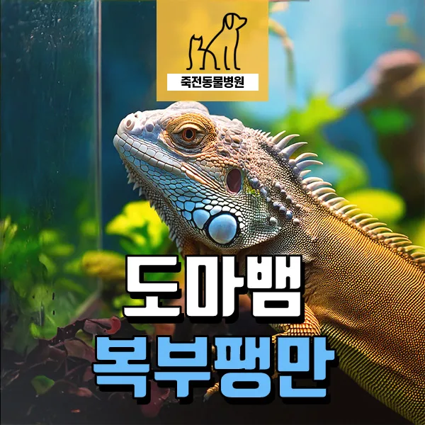 도마뱀 복수·흉수 치료 2026: 식욕 부진·배 팽만 원인과 해결책 — 반려동물 — astarose