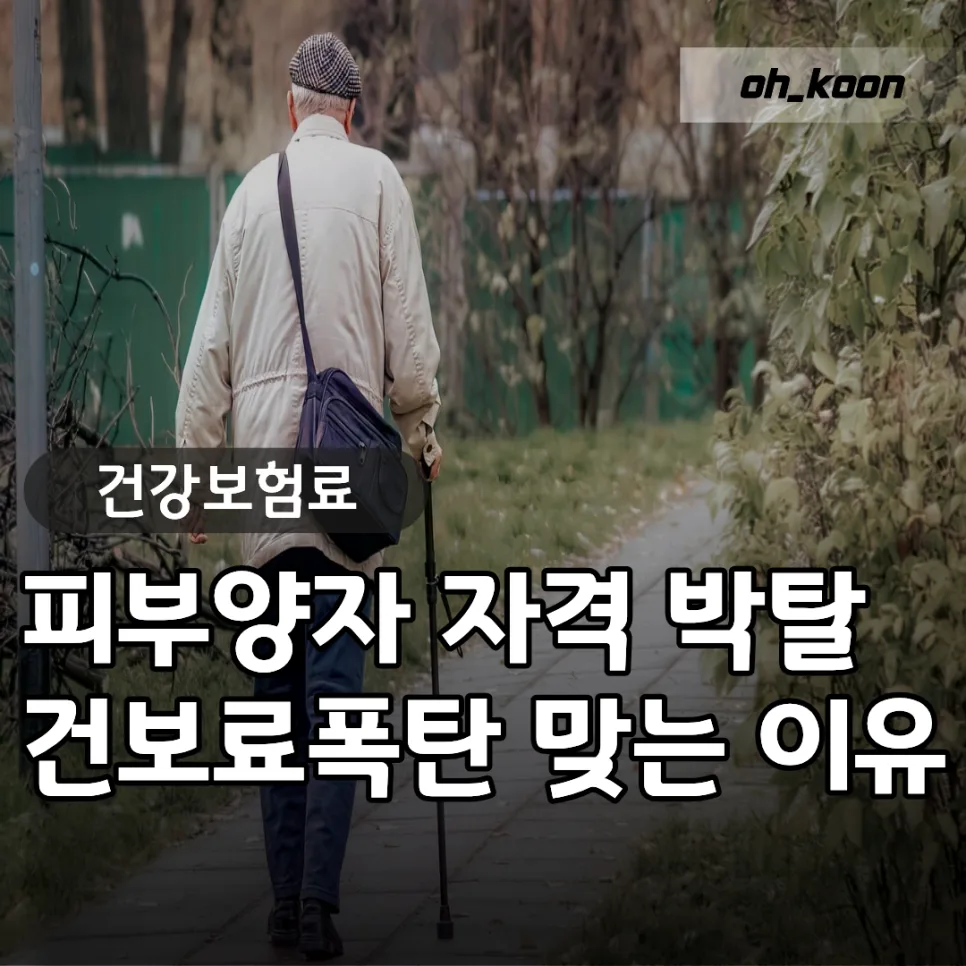 건강보험료 피부양자 자격 박탈 기준 2026년 총정리 — 비즈니스·경제 — cs1487