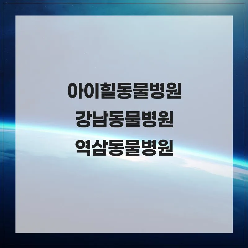 강남 동물병원 추천: 아이힐 슬개골 탈구 수술 경험 2026 3