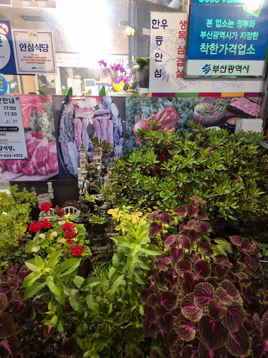용호동 삼겹살 맛집 2026: 안강식당 솥뚜껑 삼겹살 후기 2