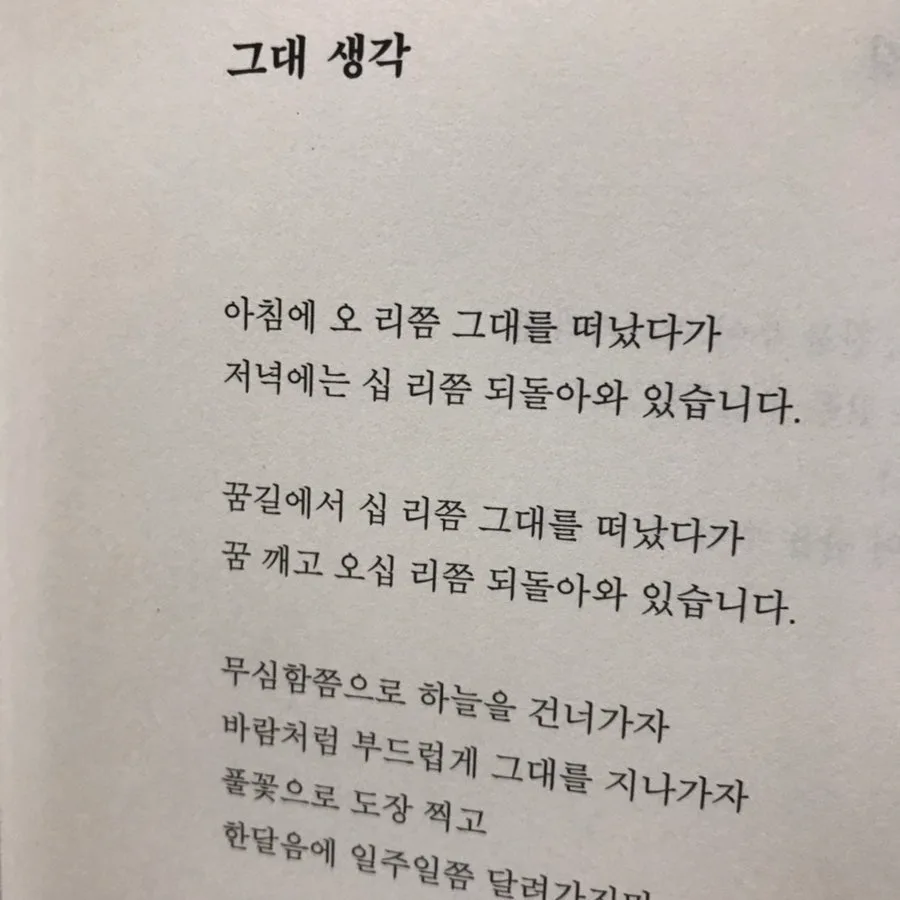 고정희 시 '그대 생각' 분석: 그리움과 아픔의 시적 여정 2026 2