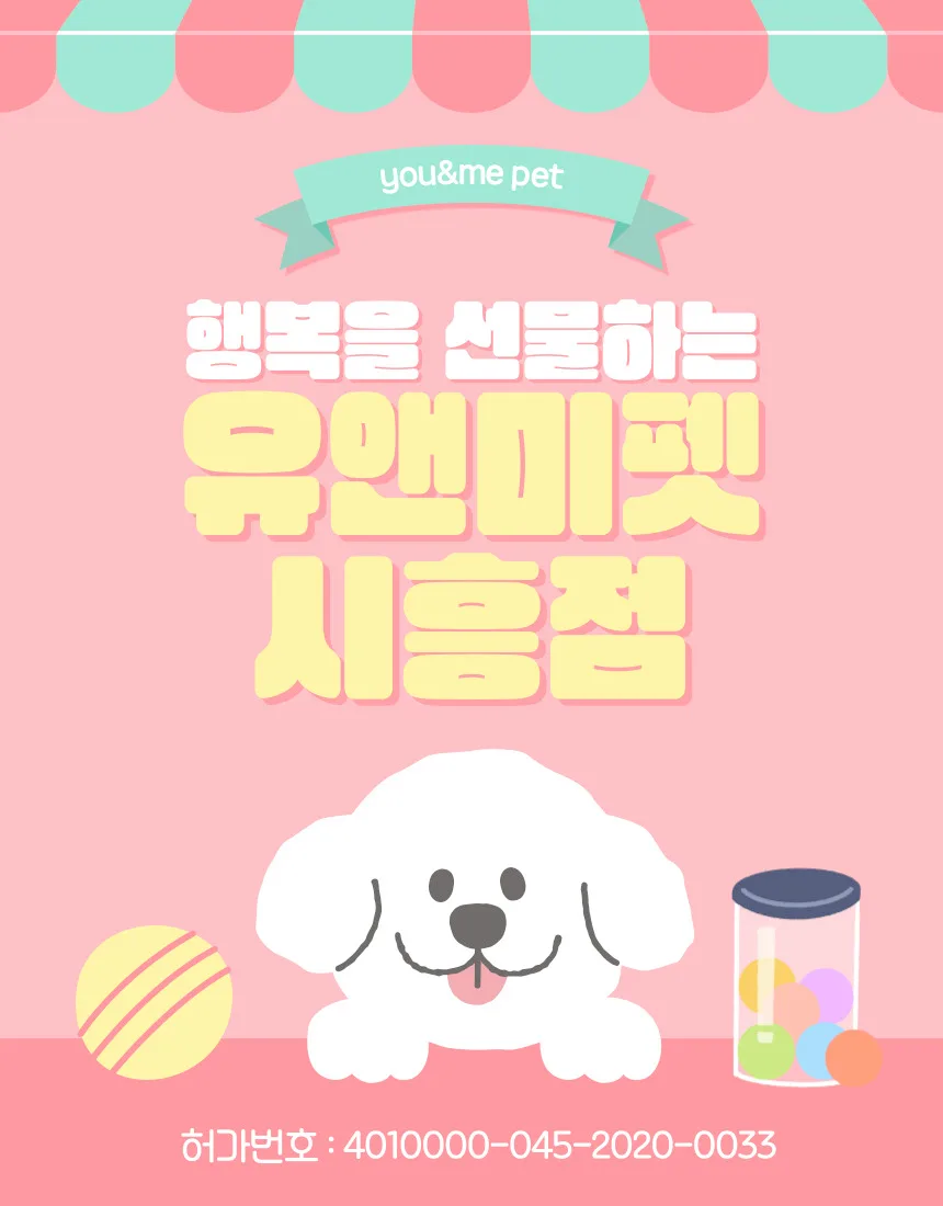 수원 말티즈 분양, 유앤미펫 경험담 2026: 건강한 반려견 찾는 법