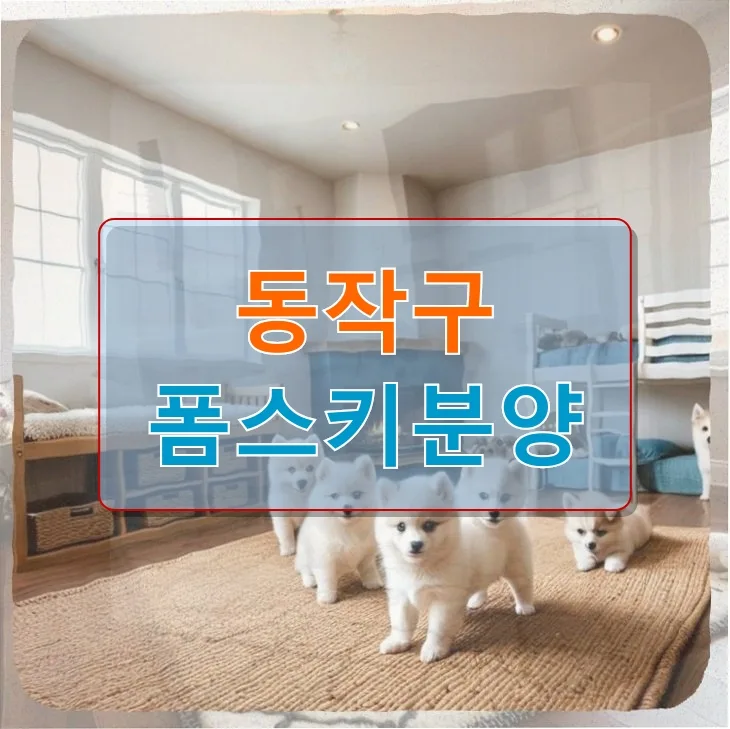 동작구 폼스키 분양: 좁은 원룸과 프리랜서 현실 속 120만원의 새 가족 2026