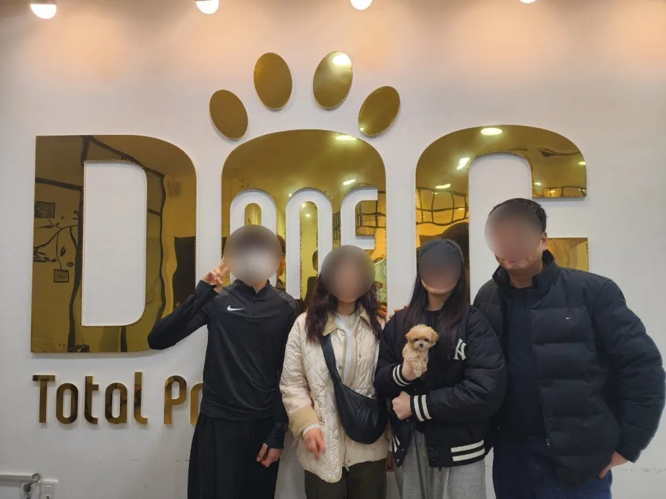 세종시 말티푸 분양 2026: 11년 경력 원독의 맞춤 상담 후기 2
