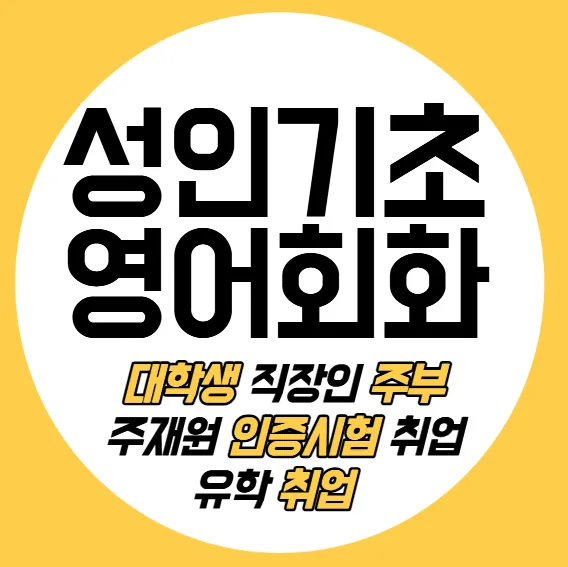 배곧 성인 영어 과외 2026: 오픽, 토익, 회화 실력 향상 비법