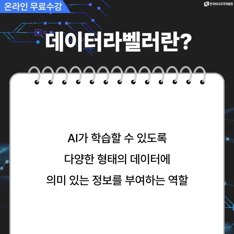 데이터라벨러 자격증 취득 방법 2026: AI 시대 필수 역량 2